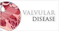 Valvular - Vanda Rossen